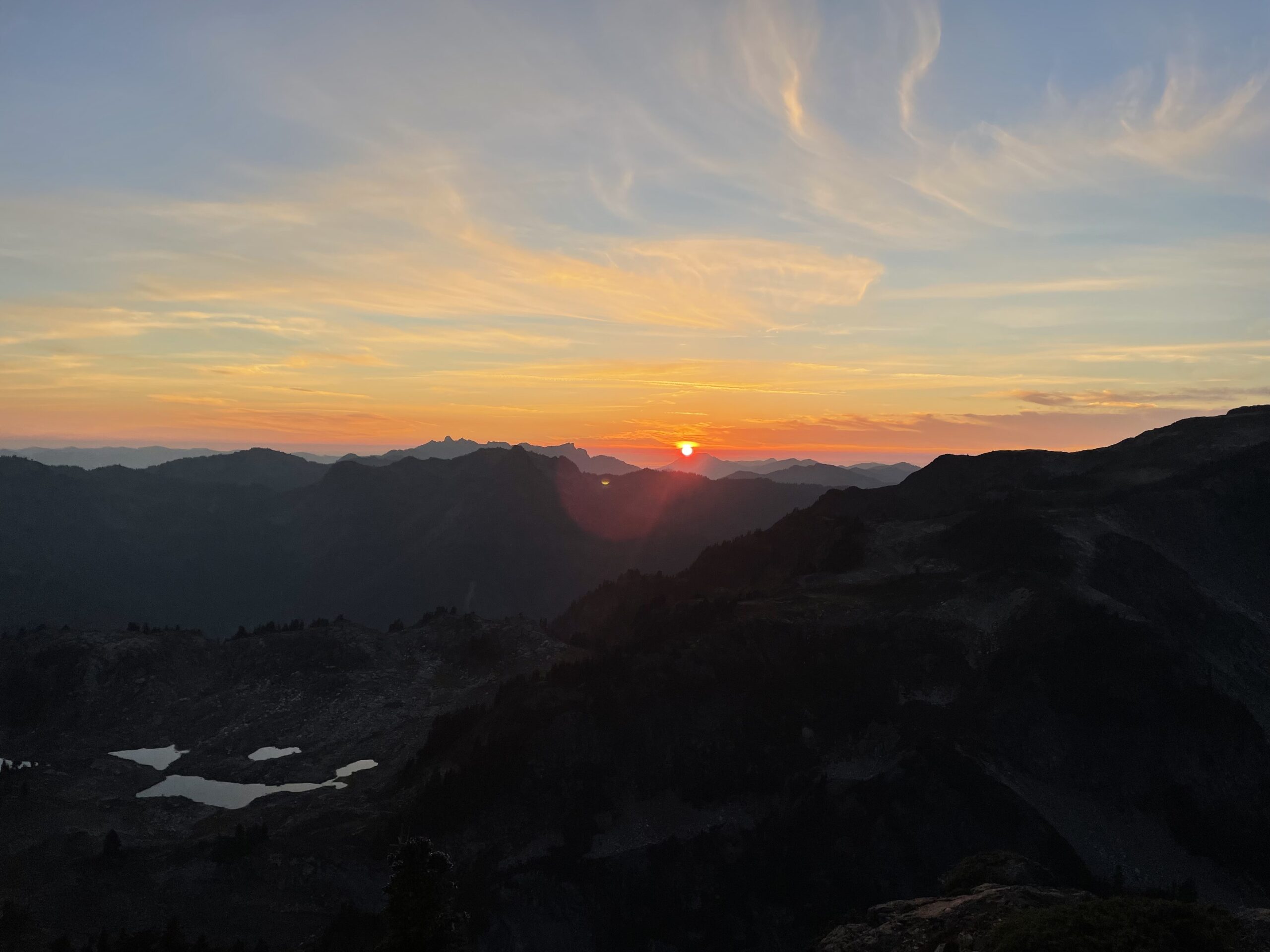 Yellow Aster Butte Yellow Aster Butte