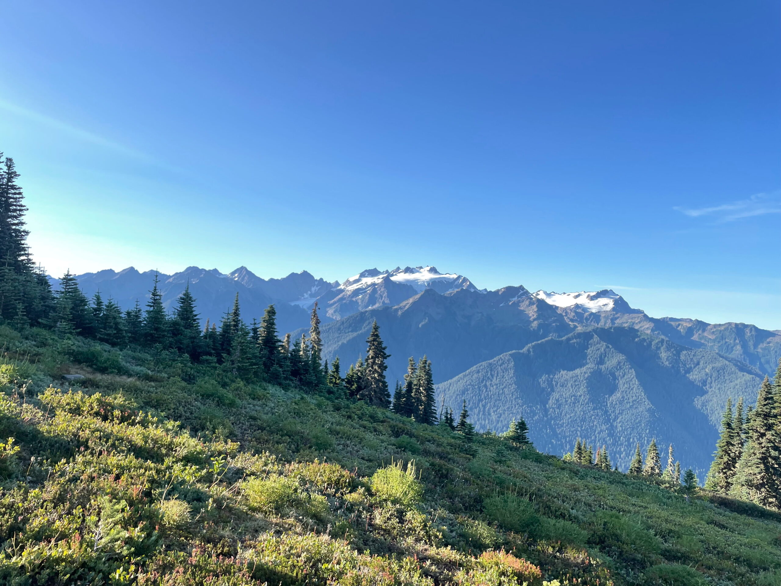 Seven Lakes Basin Loop in Olympic National Park